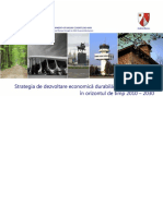 34-Strategia de dezvoltare economica durabila a judetului Bacau_var consultativa.pdf