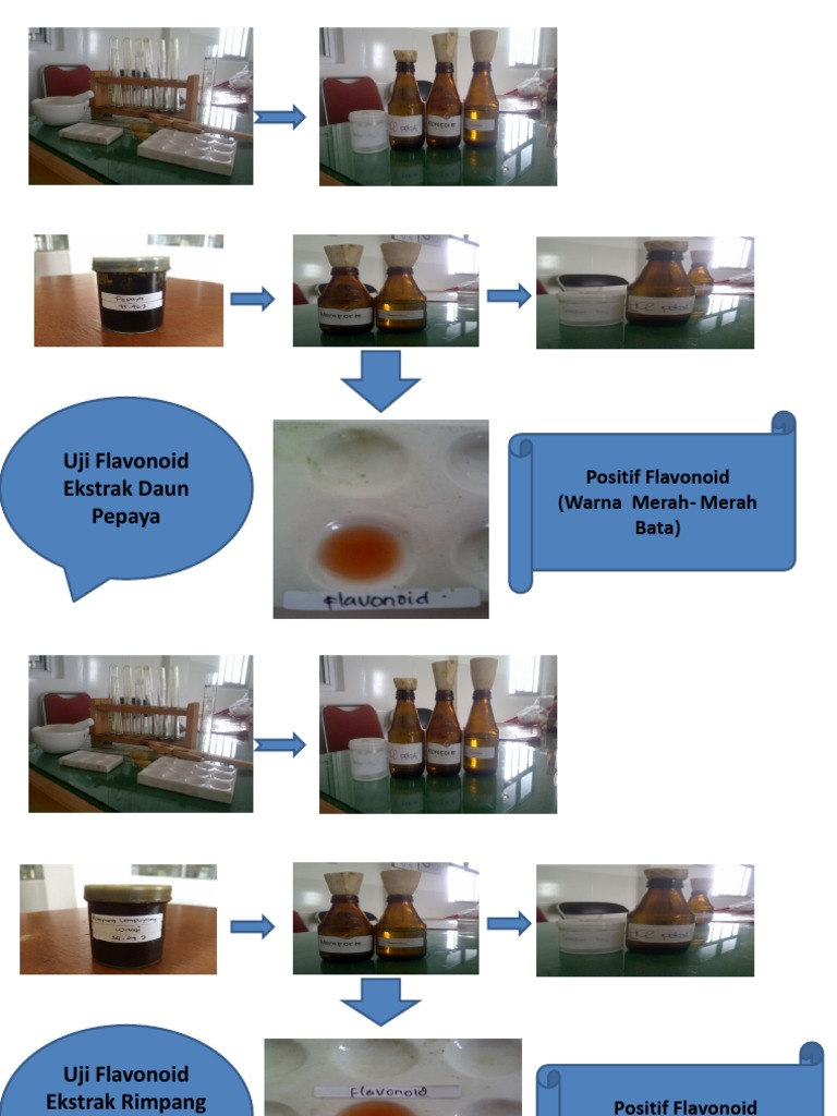 Uji Flavonoid Ekstrak Daun Pepaya Positif Flavonoid (Warna MerahMerah