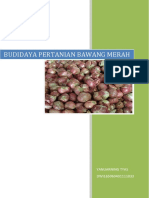 Budidaya Pertanian Bawang Merah (TUGAS ARIN)