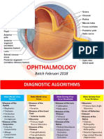 Opthalmology PDF