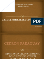 Proyecto Educacional - Fatima Ayala