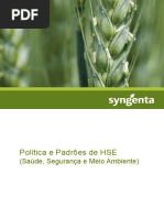Política e Padrões de HSE