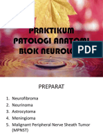 Slide Pa Blok 17 Neurologi