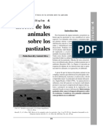 Efectos de Los Pastizales en Animales