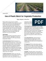 Use of Plastic Mulch for Vegetable Production