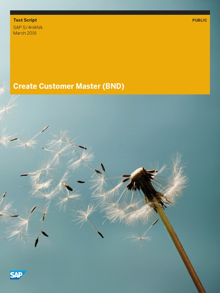 SAP Hana Customer Master Create | PDF | Sap Se | Taxes
