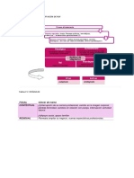 Modelo-de-adaptacion-de-Callista-Roy  mamona.docx