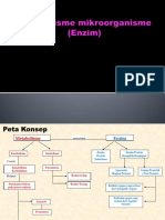 TM 4 Enzim Dan Pengendaliannya