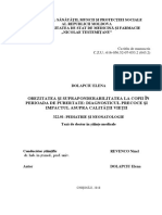 Teza Dolapciu Elena Pentru Cnaa PDF