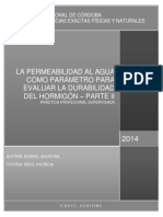 PS Ichaso, Agustina.pdf