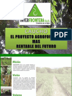 Diapositivas Brochur Empresa La Frontera