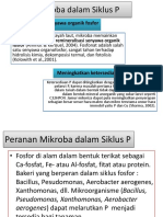 Peran Mikroba dalam Siklus Fosfor