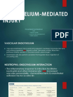 Endothelium-Mediated Injury: Tugas Presentasi Prabedah