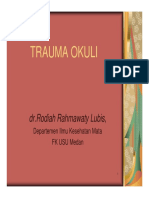 sss155_slide_trauma_okuli.pdf