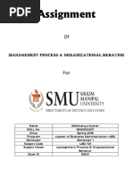 Management Process & Organizational Behavior