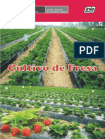 Olivera-Cultivo de Fresa PDF