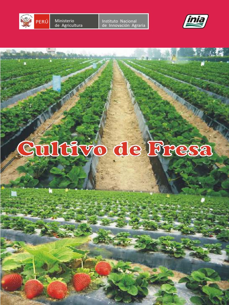 Nabor Carrillo Estefa (@nabor.estefa) • Facebook, image size:768x1024