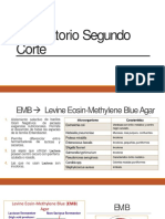 Medios de Cultivo y Pruebas Bioquimicas