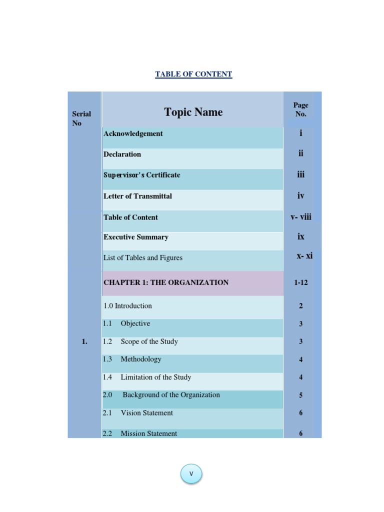 Table of Content (V-Viii) 6 | PDF | Sales | Marketing