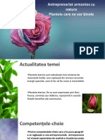 Multi Colors Rose PowerPoint Templates Widescreen (1)