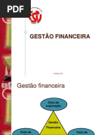 GESTÃO FINANCEIRA ESTGV-IPV.pdf
