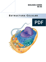 Bc06 - Estructura Celular