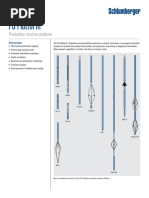 PS Platform PDF