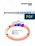 BC07 - Reproducción Celular I