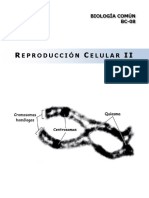 BC08 - Reproducción Celular II