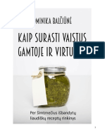 Dominika-Balciune.pdf