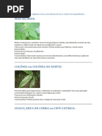 Aqui estão reunidas algumas ervas.docx