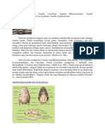 Familia Ichthyopidae