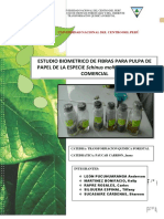 Estudio Biometrico Schinus-Molle PDF