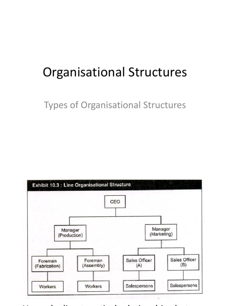 Types of Organisational Structures Explained | PDF | Organizational ...