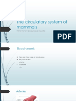 The Circulatory System of Mammals: Define The Term Blood Pressure and Pulse