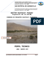 Sector Huatocay - Puquio: Perfil Tecnico