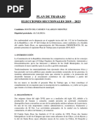PLAN DE TRABAJO ALCALDE STA ROSA.docx