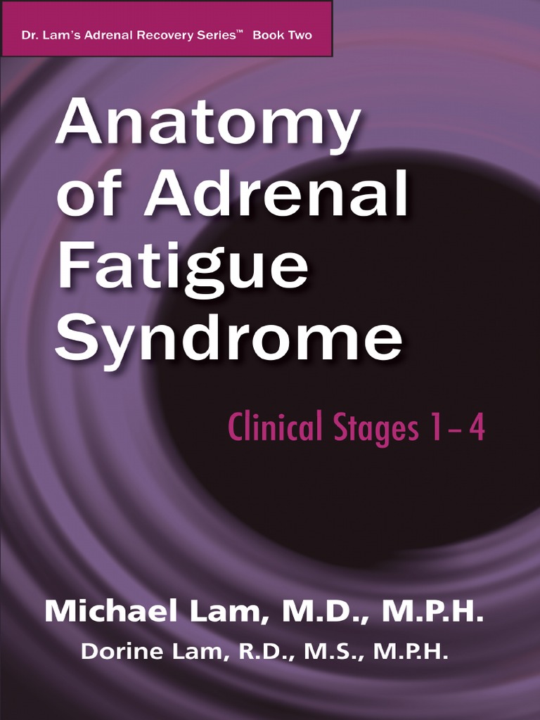 Anatomy Of Adrenal Fatigue S Pdf Pdf Adrenal Gland Cortisol