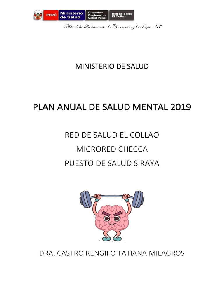 Plan Anual Salud Mental | PDF | Salud mental | Violencia doméstica