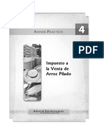 Asesor_Practico_4_IVAP.pdf