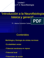 3 Neurofisiologia 090730143133 Phpapp01 PDF