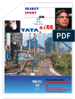 Project Report On Tata Steel