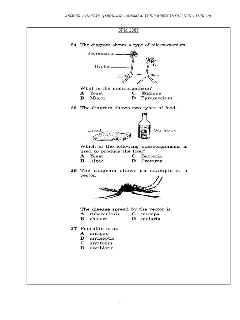 Microorganisms' Impact on Living Things | PDF