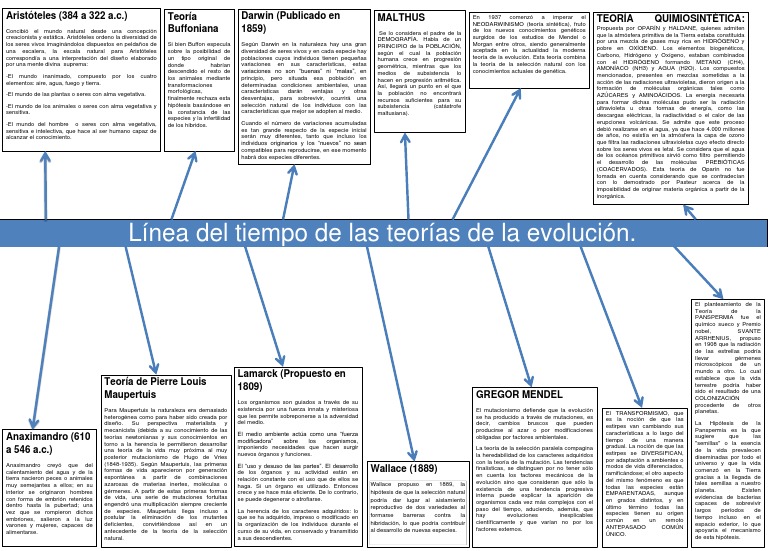 Teoras Del Origen Y Evolucin De La Vida Timeline