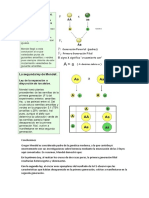 Conclusiones