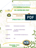 PRACTICA 1 TERMINADO.docx