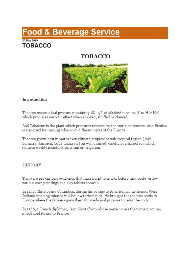 harvest tobacco leaves Blog: From Seed to Leaf: The Process of Cultivating Tobacco
