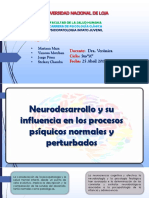 Neurodesarrollo y Su Influencia en Los Procesos Psíquicos Normales y Perturbados