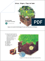 Suelos. Lec 6.pdf