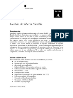 Gestión de Tubería Flexible SECCION A PARTE 1.doc